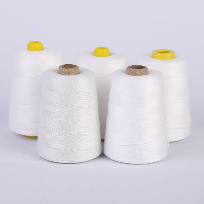 Wholesale 100g 200g,100% Polyester Bag Closing Thread Sewing Thread  20S-6 20s-4 12s-4 18s-3 12s-5