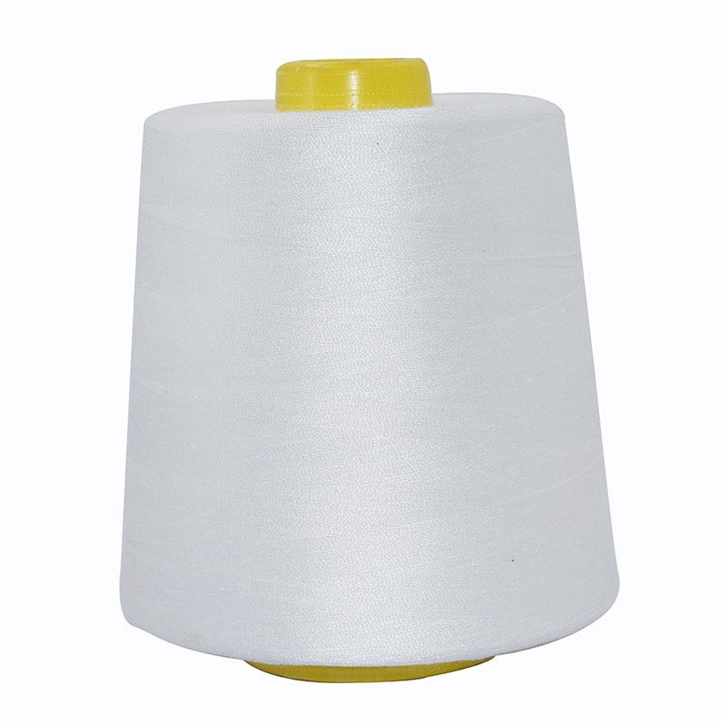 Wholesale 100% polyester sewing thread 40S-2 40s-3 20s-2 20s-3 1kg